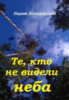 Небо читать. Не видела небо. Она видела небо книга.