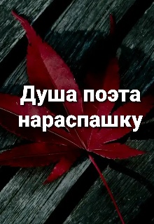 Душа поэта. Душа нараспашку читать. Жанр произведения душа нараспашку. Поэты держат душа нараспашку. Душа нараспашку шрифт.