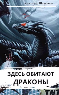 Здесь водятся драконы. Здесь обитают драконы. Александр дракон. Раньше писали здесь водятся драконы. Александр Попов дракон.