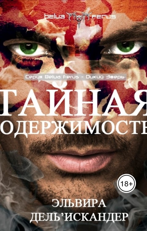 Одержимый читать. Тайная одержимость. Тайная одержимость Постер.