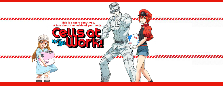NT4201, Cells at Work! Wiki