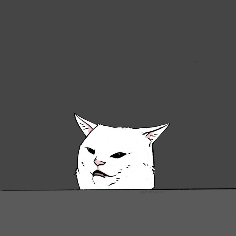 Мемный кот